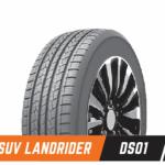 235/55R18 100 V DS01